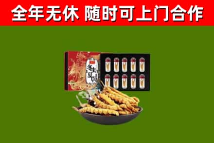 奉新回收冬虫夏草价格